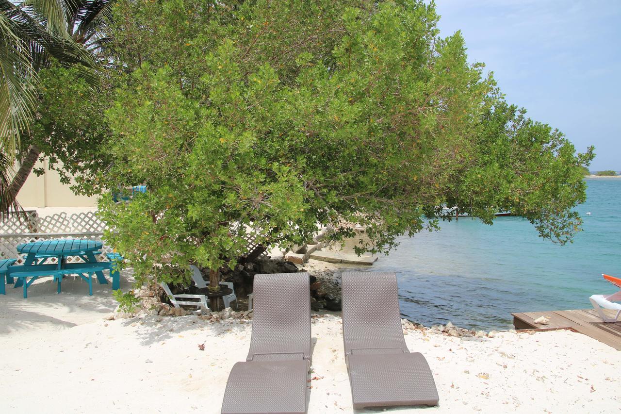 Coral Reef Beach Savaneta المظهر الخارجي الصورة