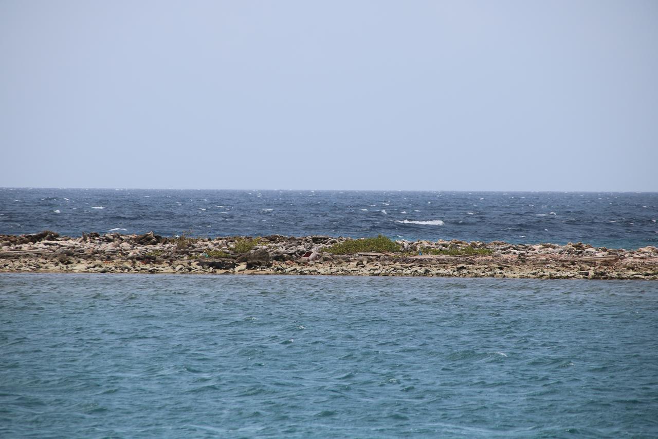 Coral Reef Beach Savaneta المظهر الخارجي الصورة